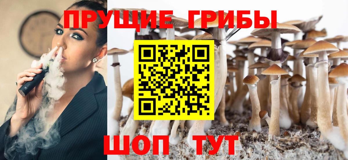 Галлюциногенные грибы Psilocybine cubensis Нефтекумск