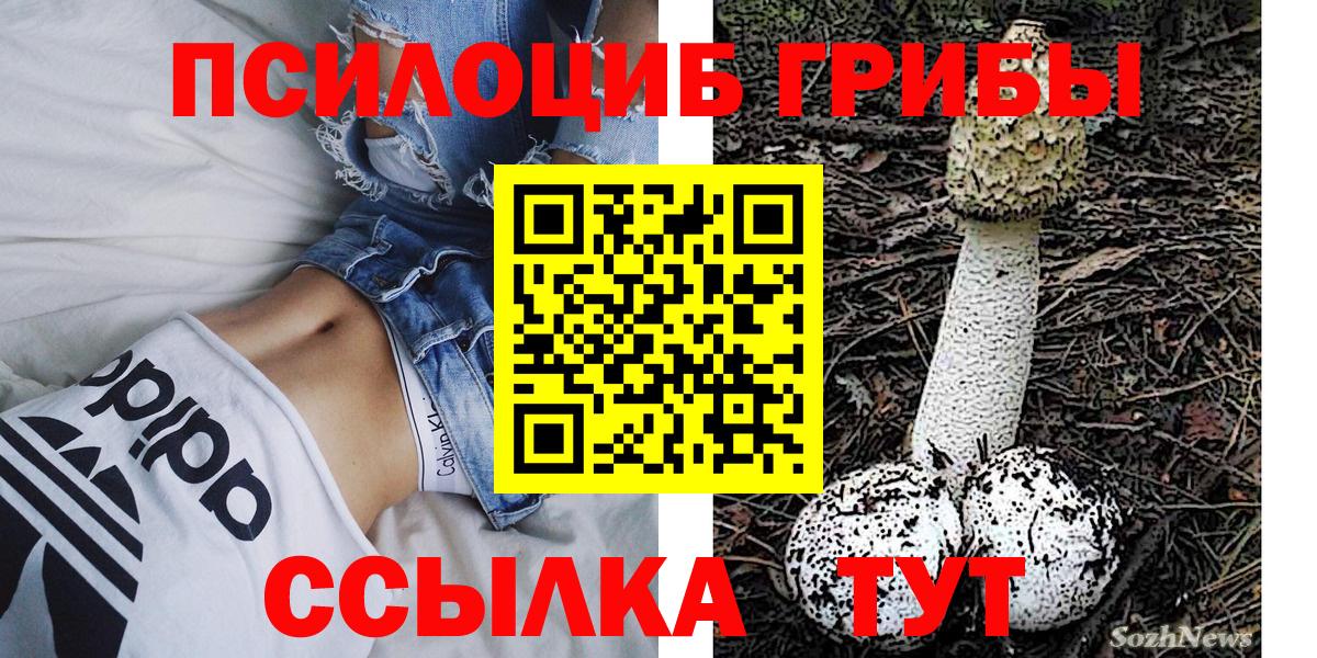 Нефтекумск  Псилоцибиновые грибы прущие грибы  купить закладку  Вход с VPN 